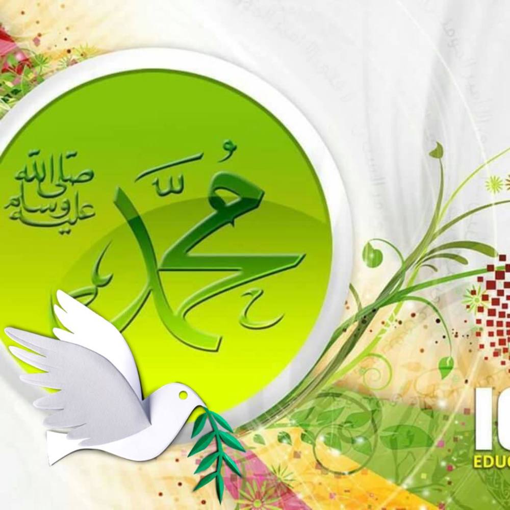 Meet your Posher, Mariya